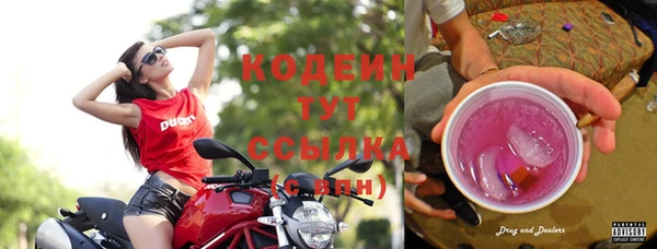 дурь Медвежьегорск
